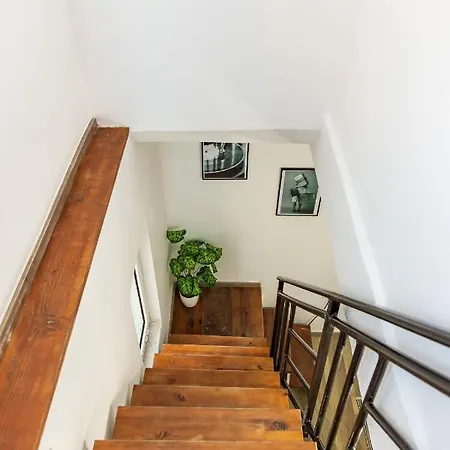 The Tropical House Appartement