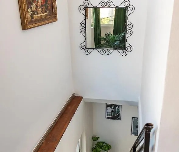 The Tropical House