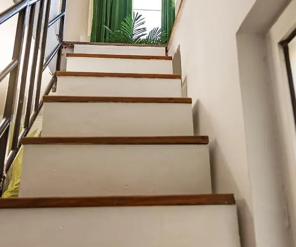 The Tropical House Apartment *