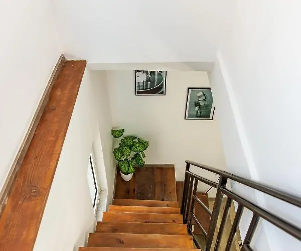 The Tropical House Apartment